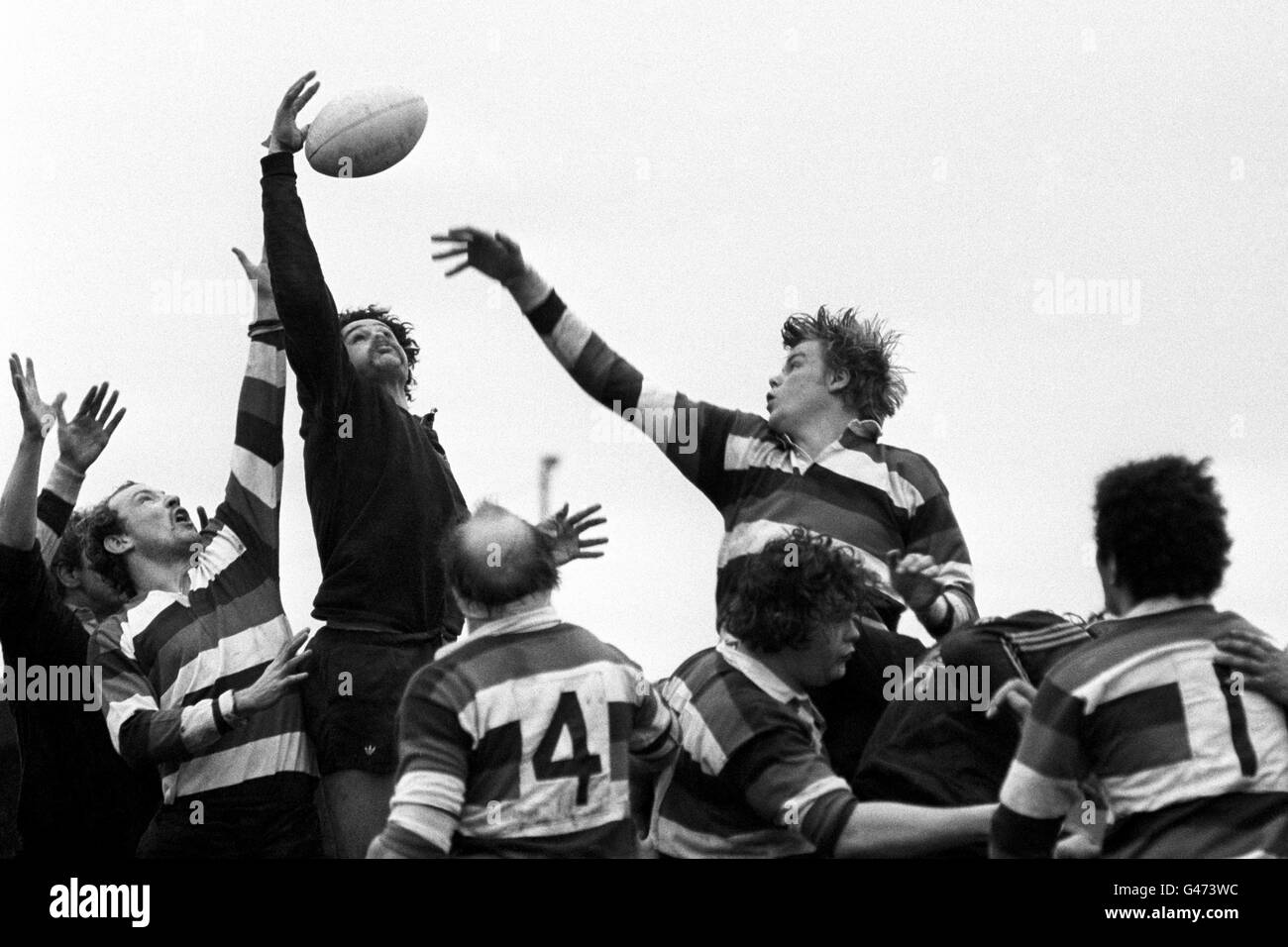 Rugby Union - John Player Cup - Wasps v Waterloo - Sudbury. Wasps J Bonner (dark jersey) wins a line out from Waterloo's AM Flett Stock Photo