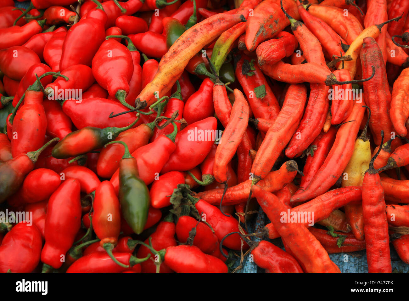 Hot red peppers at the outdoor food market in Otavalo, Ecuador Stock Photo