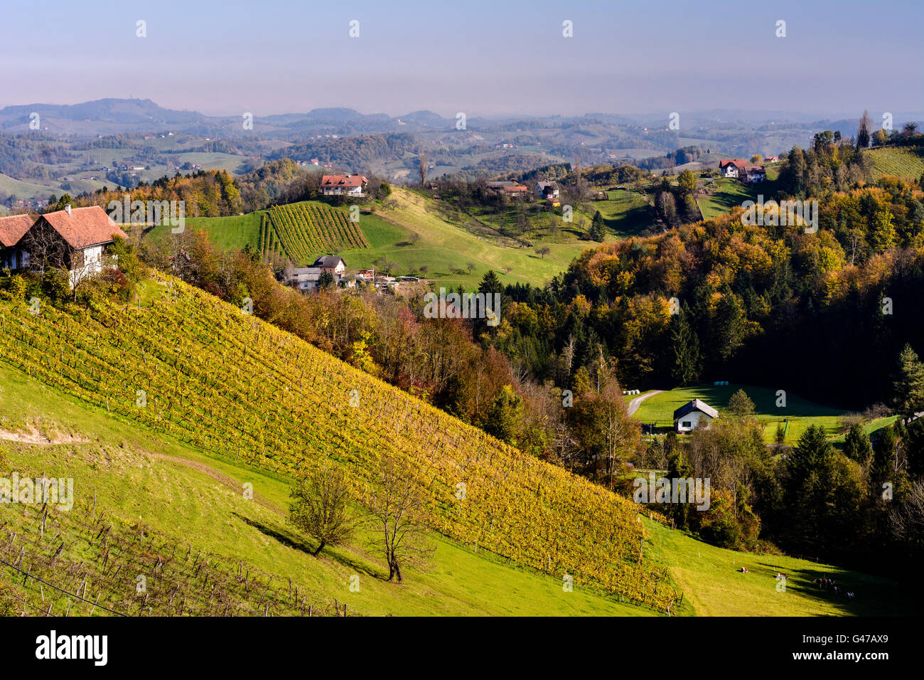 Leutschach hi-res stock photography and images - Alamy