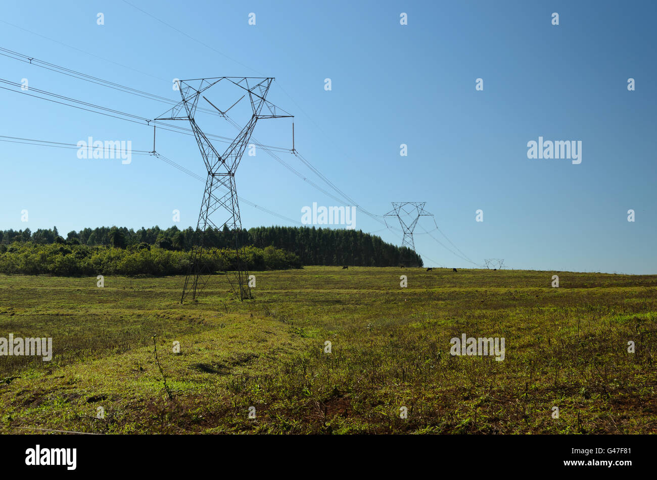 high voltage electricity tower under a blue sky Stock Photo - Alamy
