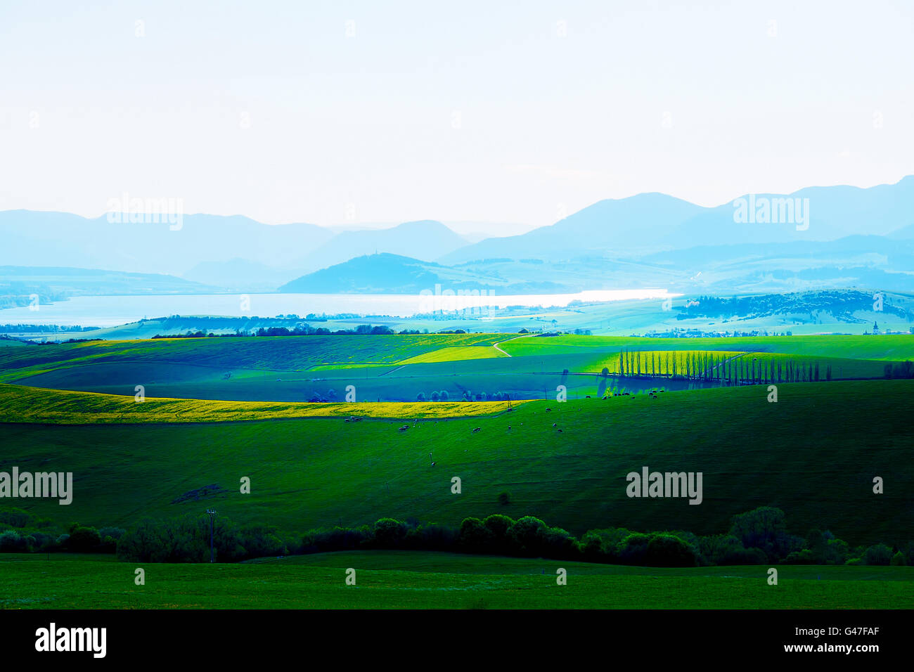 Beautiful landscape, green and yellow meadow and lake with mountain in ...