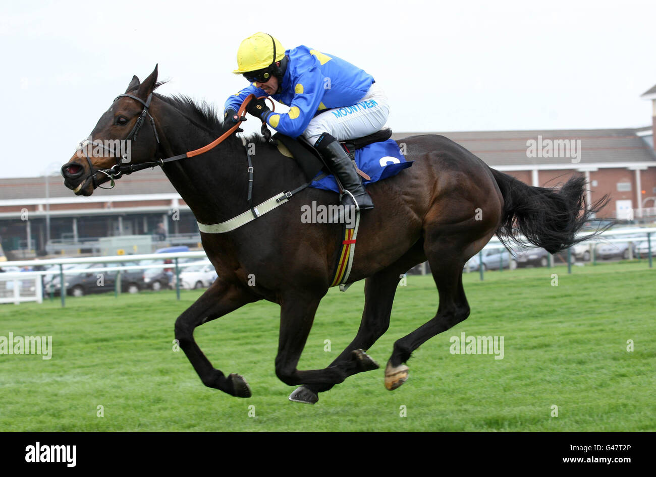Watch My Back ridden by Graham Lee wins The Hillhouse Quarry Handicap Steeple Chase during day one of the Coral Scottish Grand National Festival at Ayr Racecourse. Stock Photo