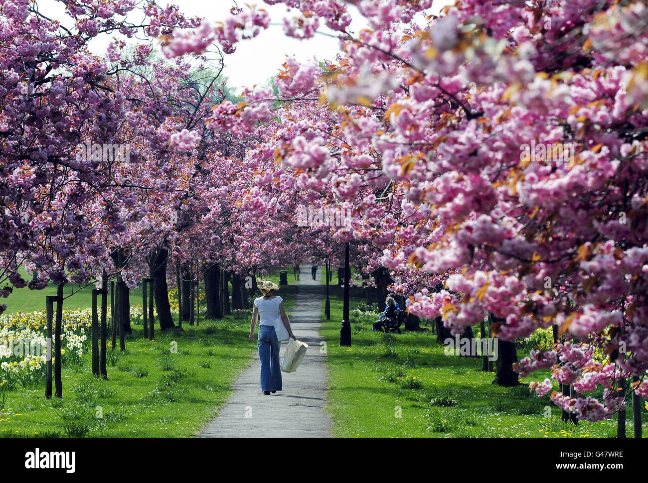 Windy Spring April Spring weather Apr 18 Stock Photo - Alamy