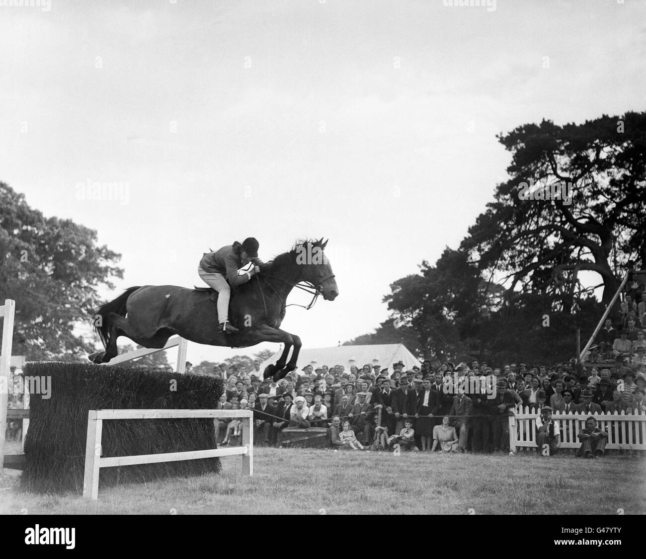 Equestrian - Essex Agriculture Show - Colchester Stock Photo - Alamy