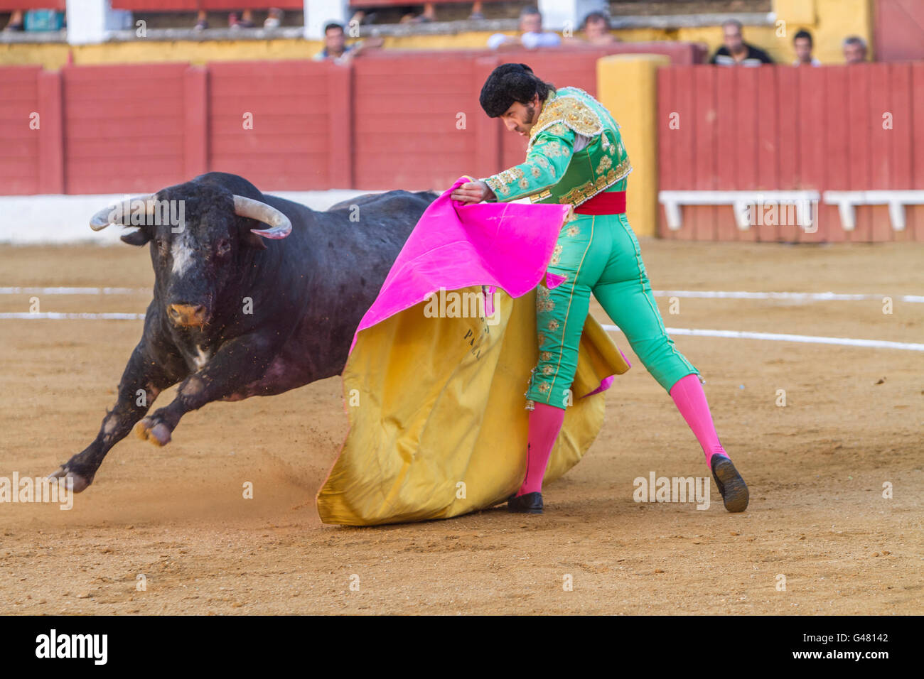 The Spanish Bullfighter Juan Jose Padilla bullfighting with the crutch ...