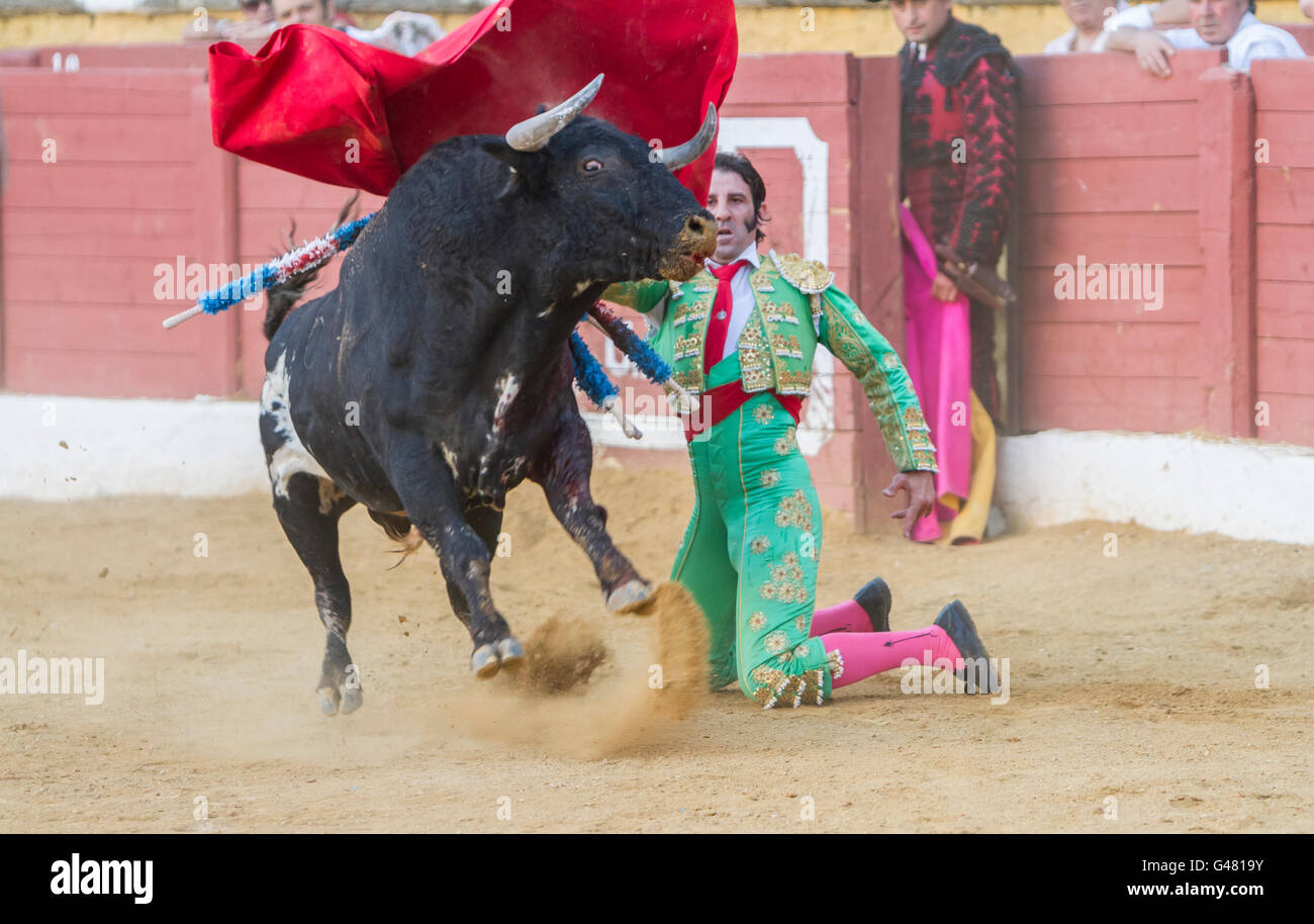 The Spanish Bullfighter Juan Jose Padilla bullfighting with the crutch