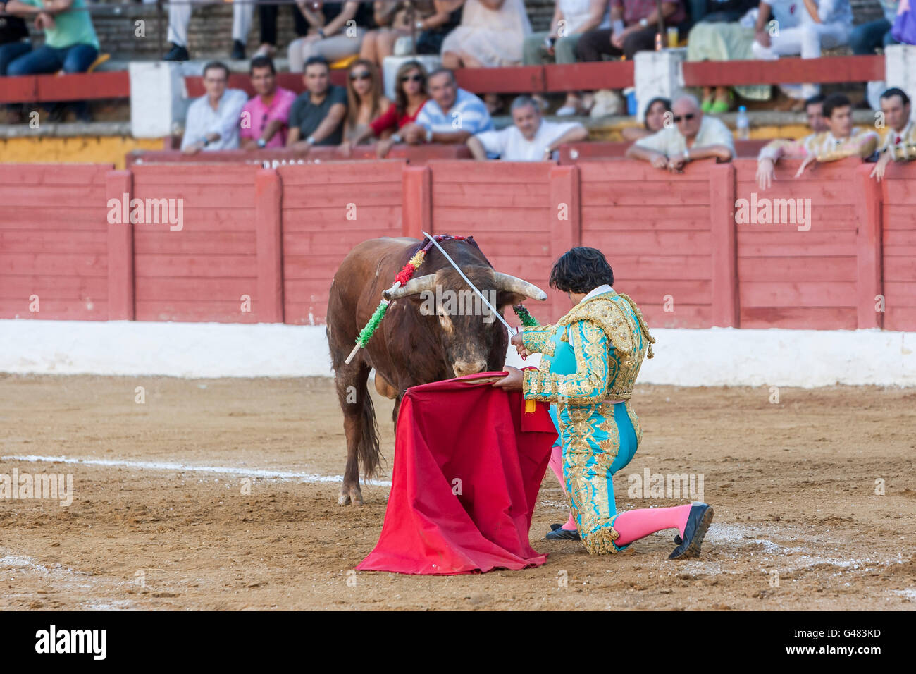 The Spanish Bullfighter Juan de Felix bullfighting with the crutch in
