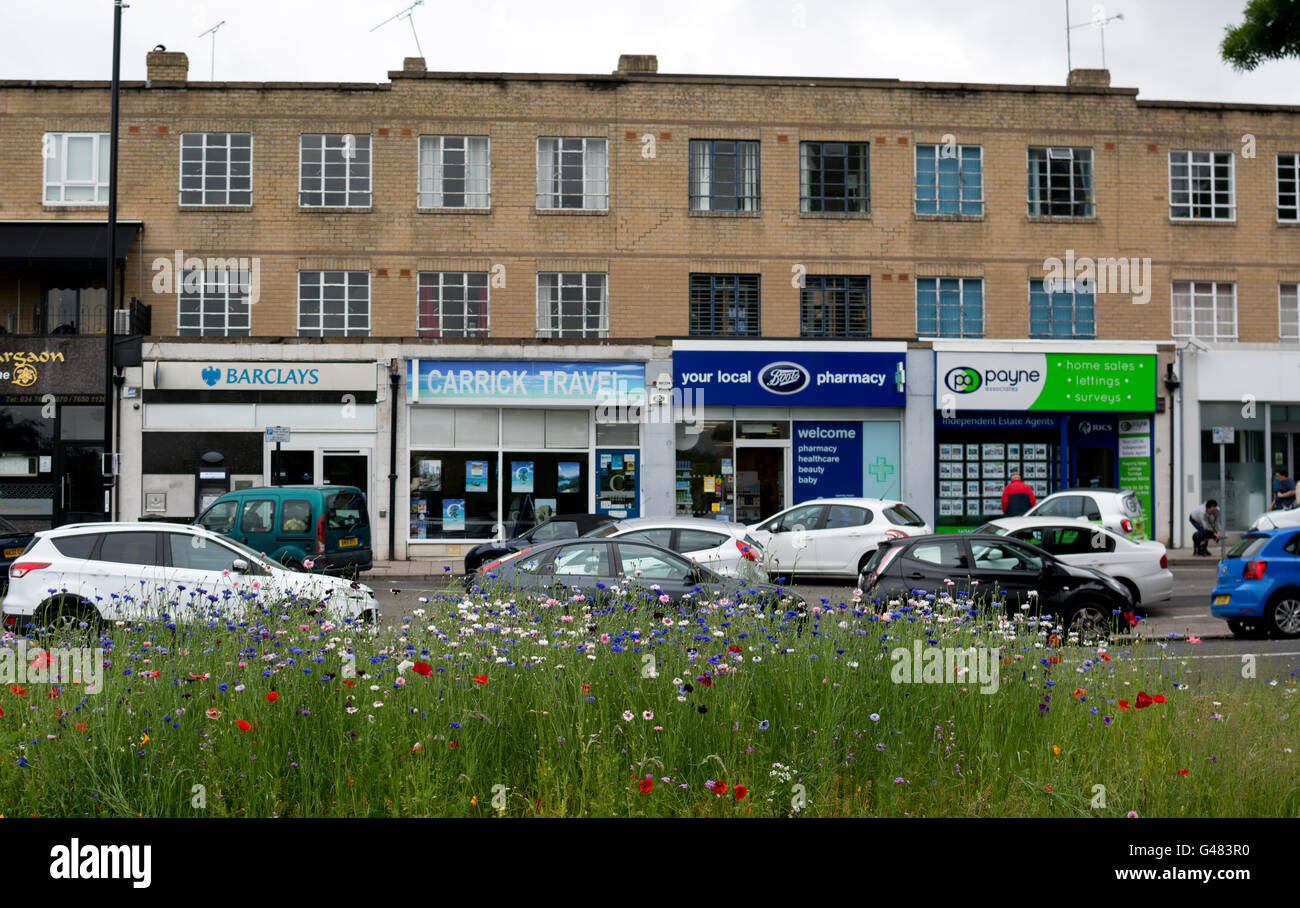 Wildflower planting at Quinton Park and Daventry Road shops, Cheylesmore, Coventry, UK Stock