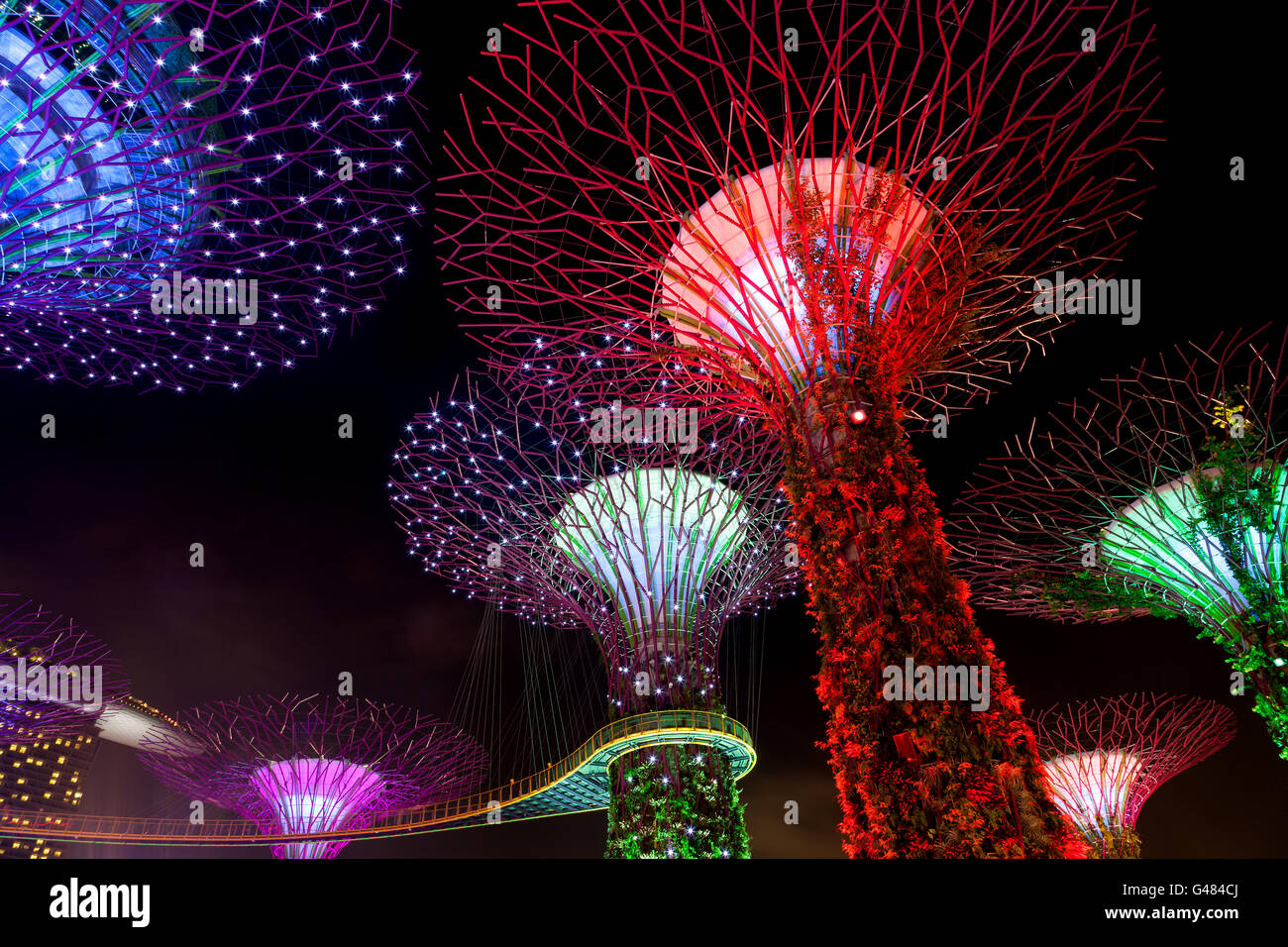 Singapore, Singapore - December 9, 2014: The Supertree Grove comes alive at Gardens by the Bay in Singapore. The nightly dazzlin Stock Photo