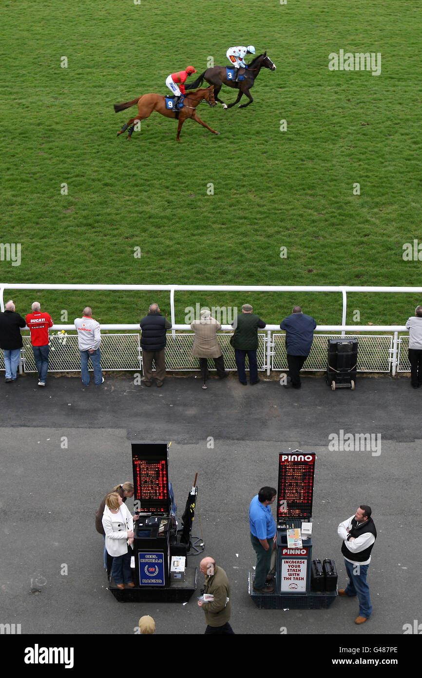 Ludlow racecourse general hi-res stock photography and images - Alamy