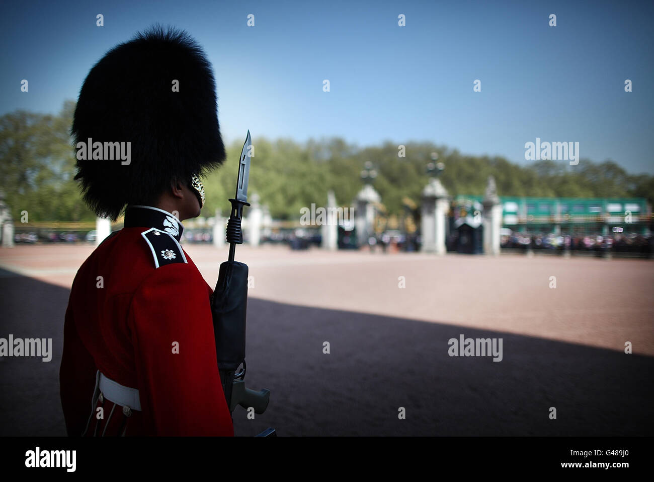 A member of the Scots Guards stands on guard duty at Buckingham Palace in London Stock Photo Alamy