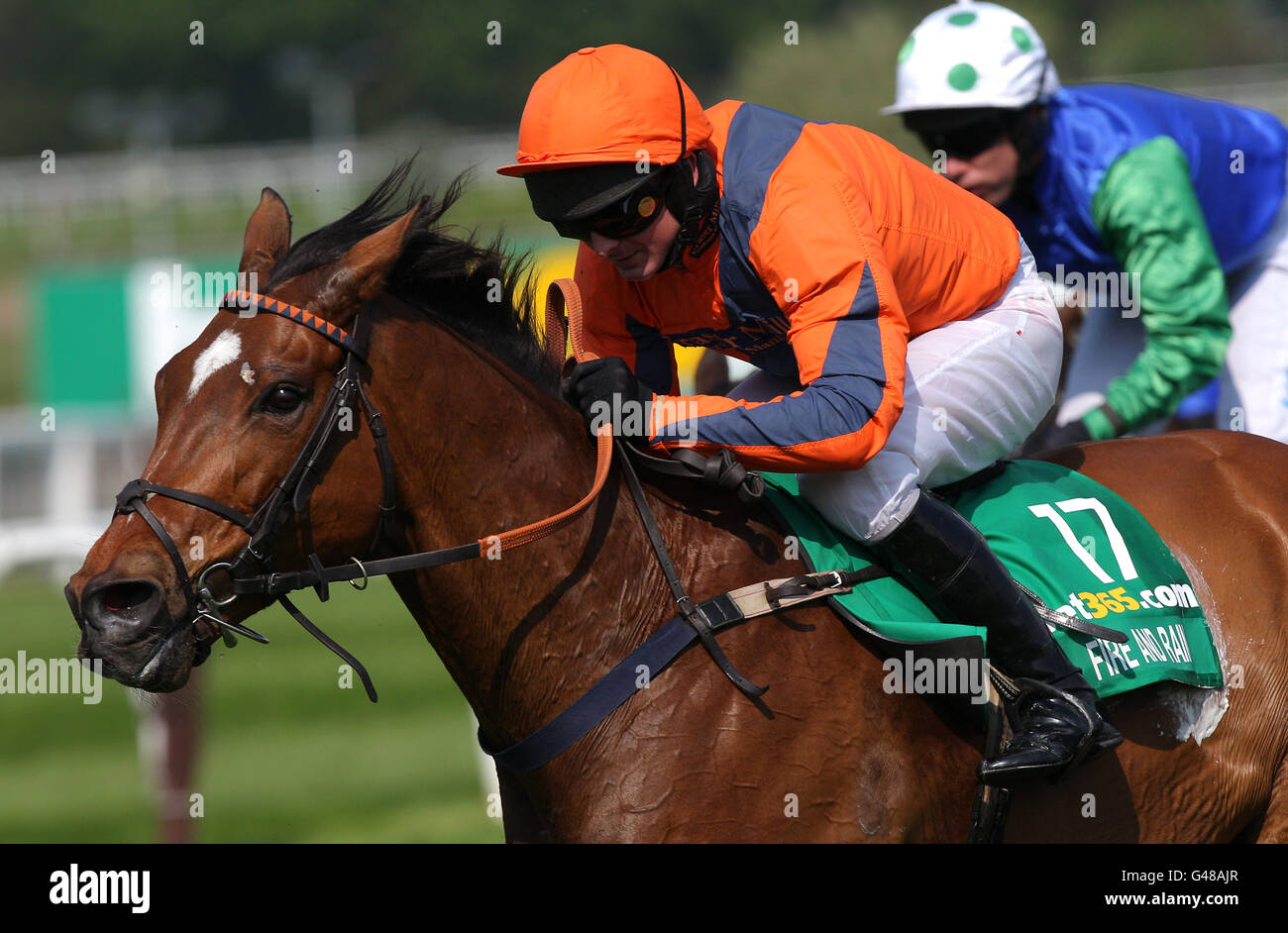 Horse Racing - bet365 Gold Cup Easter Festival - Sandown Park. Jockey Paul Moloney on Fire And Rain (right) ahead of Timmy Murphy on Poker De Sivola in the bet365 Gold Cup Chase Stock Photo