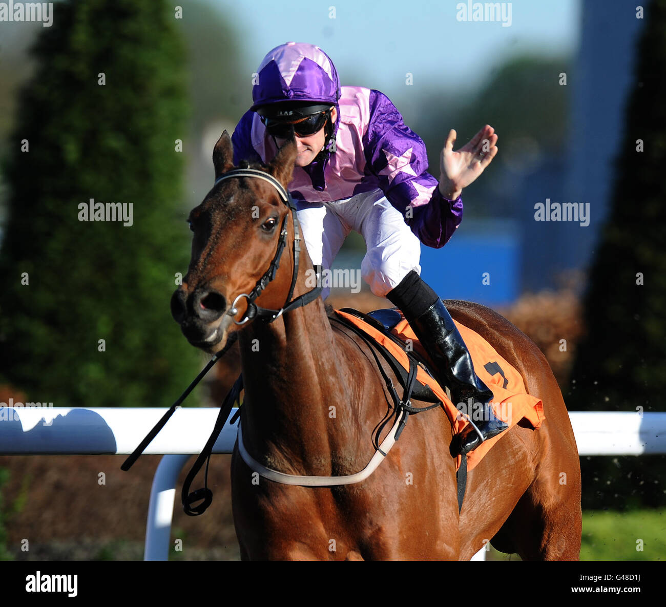 Horse Racing - Kempton Park Racecourse. Lord of the Reins ridden by Paul Mulrennan winners of the Free Entry For Betdaq Members Handicap Stock Photo