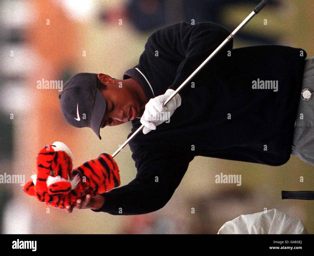American Tiger Woods, shrouds his 'wood with a tiger club cover' during a practice session at Royal Troon today (Tuesday). Photo by Adam Butler/PA. Stock Photo