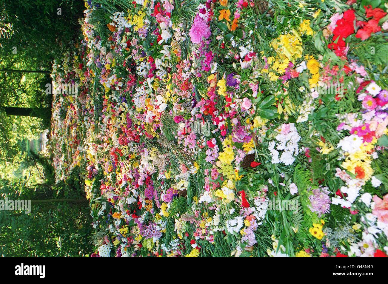 Diana island flowers Stock Photo