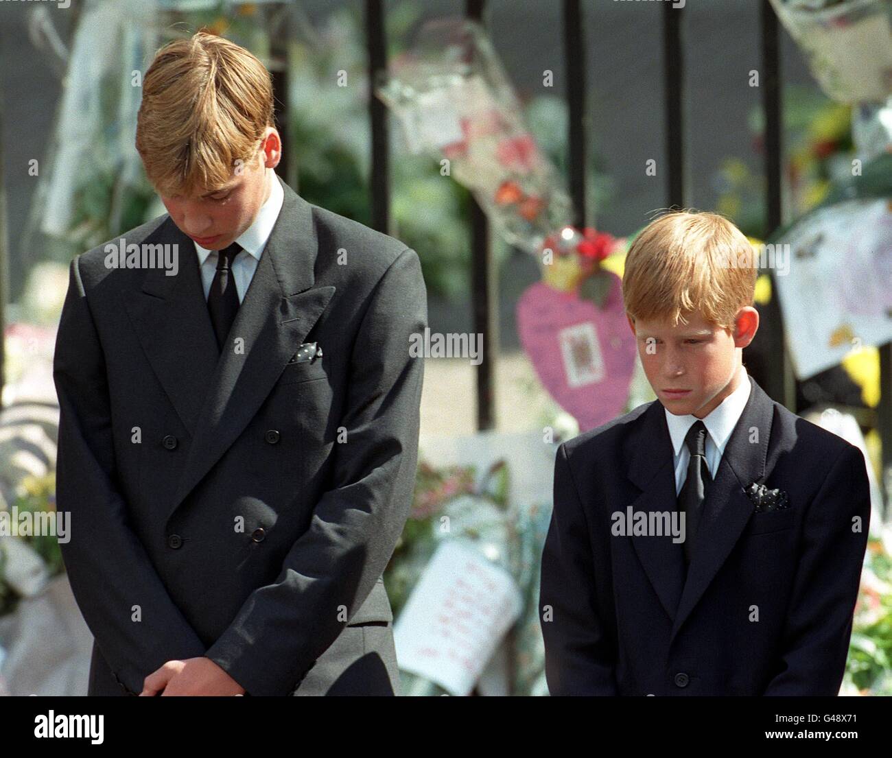 Diana Princess of Wales.Prince Harry.Prince William Colour 1991 Postcard