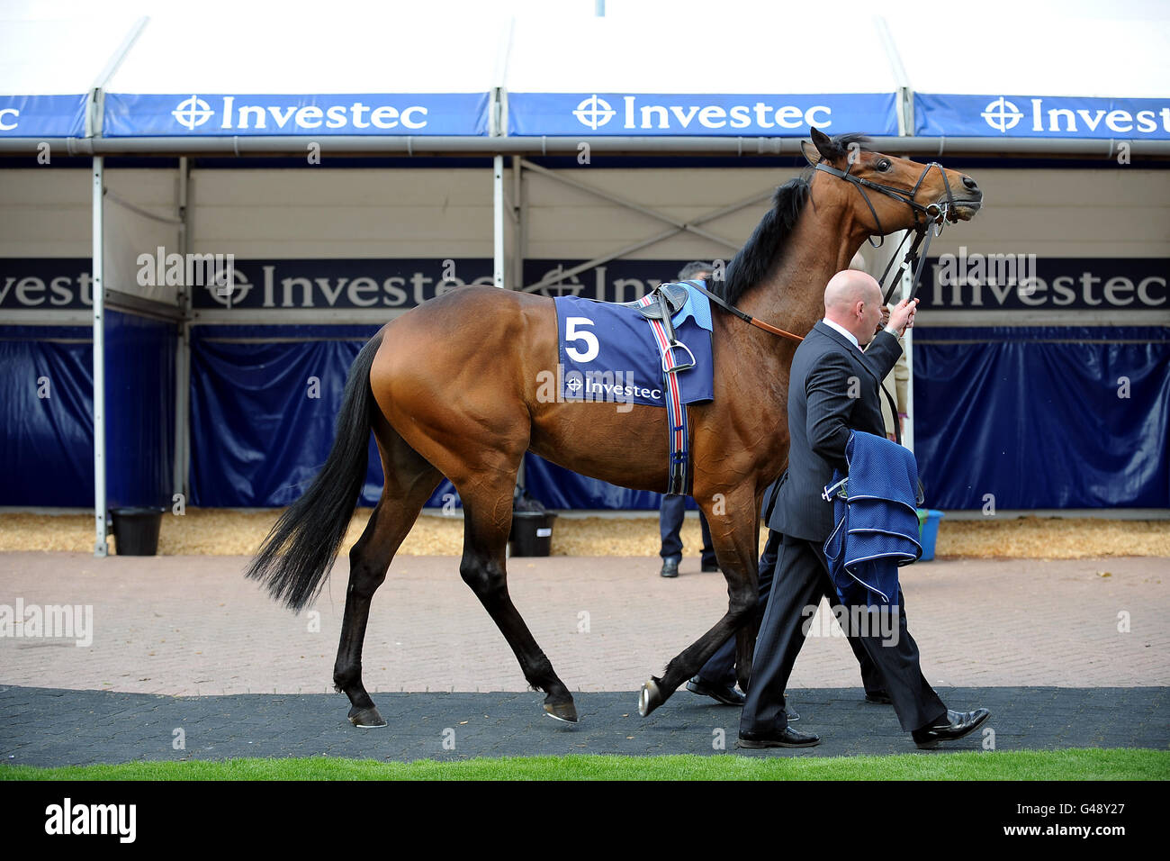 A horse is lead past the Derby Stables at Epsom Downs Stock Photo Alamy