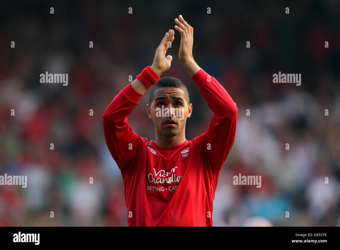 Sport - Soccer - npower Football League Championship - Nottingham Forest  Squad 2012/13 Stock Photo - Alamy