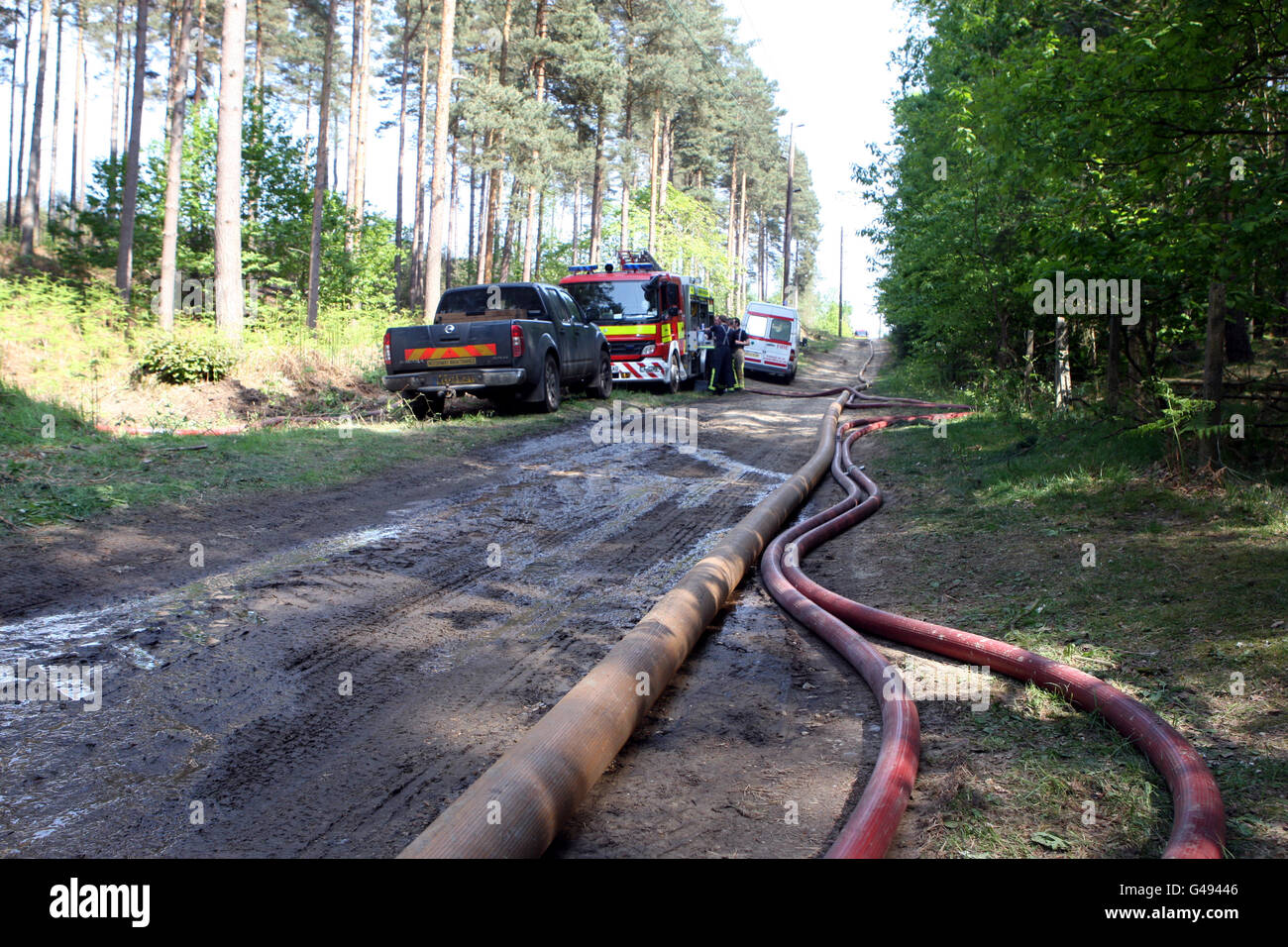 Firefighters work on a fire in the Swinley Forest near Crowthorne, Berkshire. Stock Photo