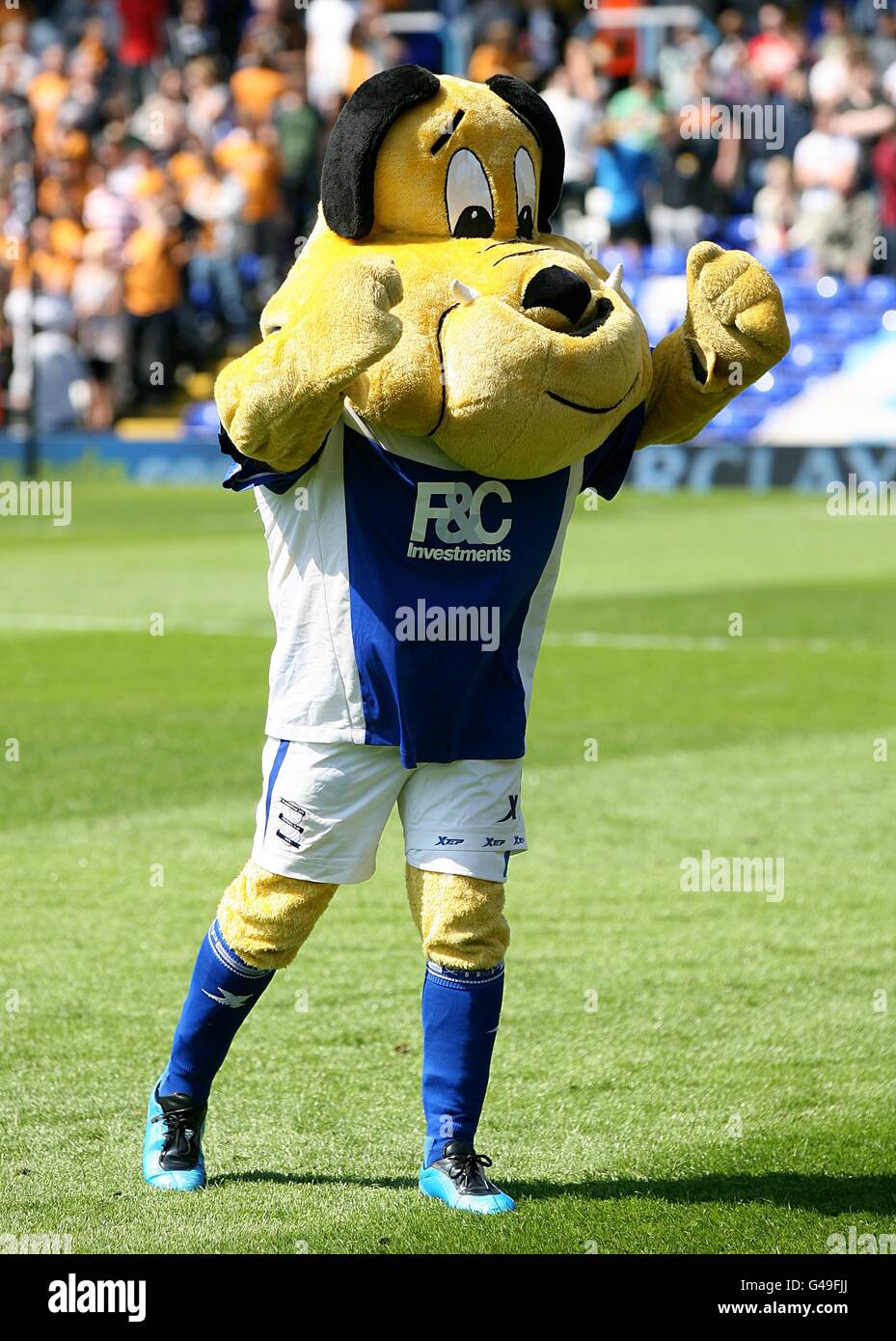 Soccer - Barclays Premier League - Birmingham City v Wolverhampton Wanderers - St Andrew's. Beau Brummie, Birmingham City mascot Stock Photo