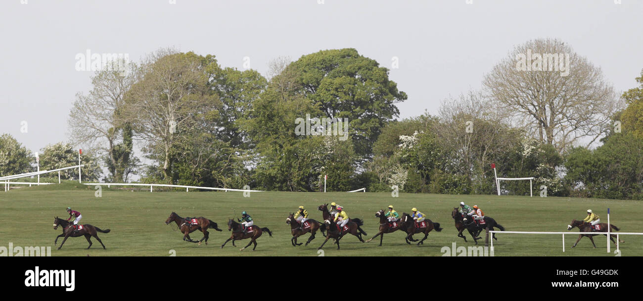 A general view of the field in Kildare Hunt Club Fr Sean Breen Memorial Chase For The Ladies Perpetual Cup during the Boylesports.com Champion Chase Day at Punchestown Racecourse, Naas, Ireland. Stock Photo