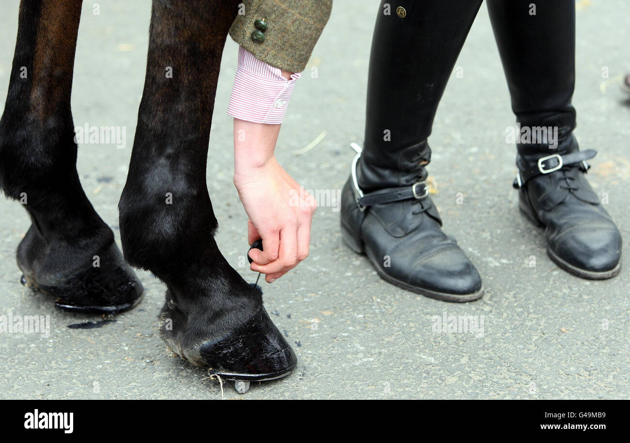 Royal ulster agriculture society hires stock photography and images