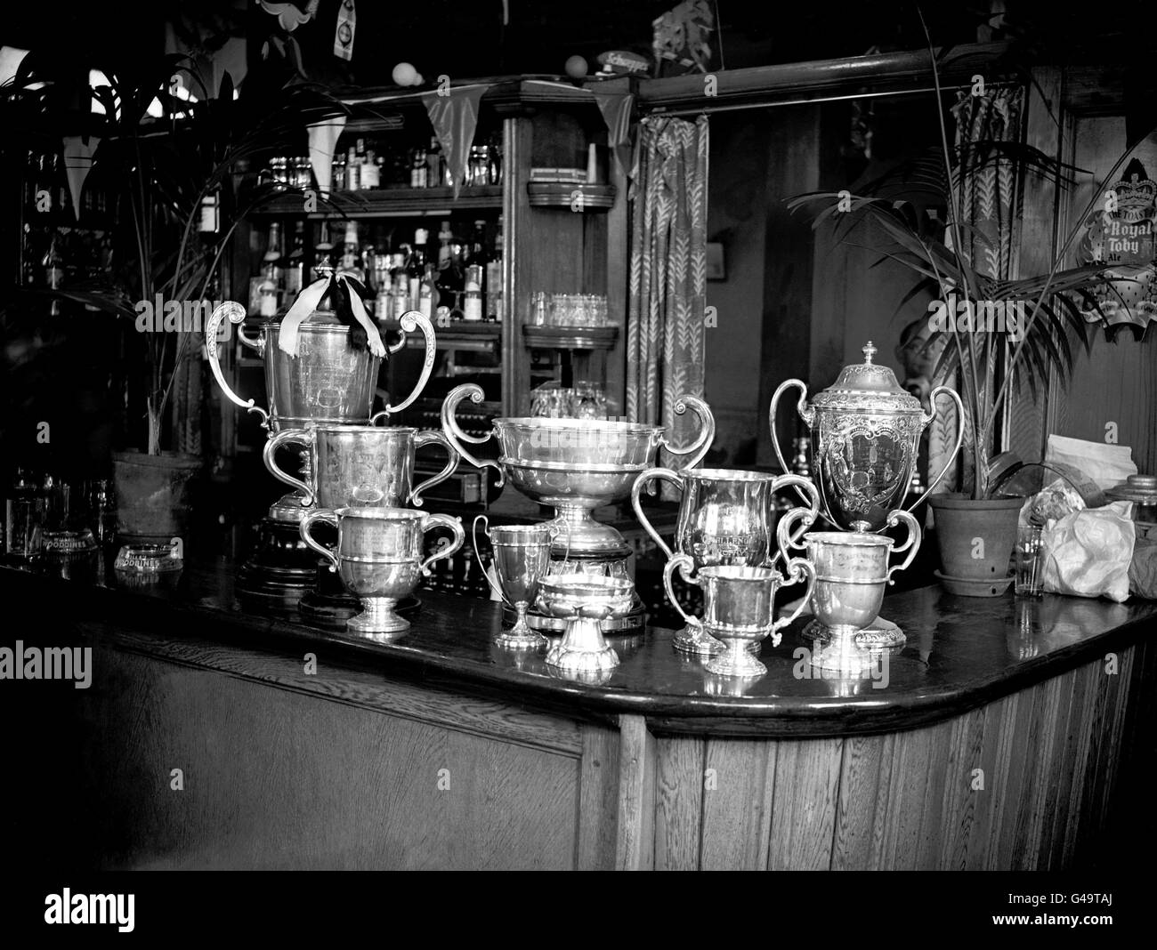 Shot showing various trophies cups on bar rowing club hires stock
