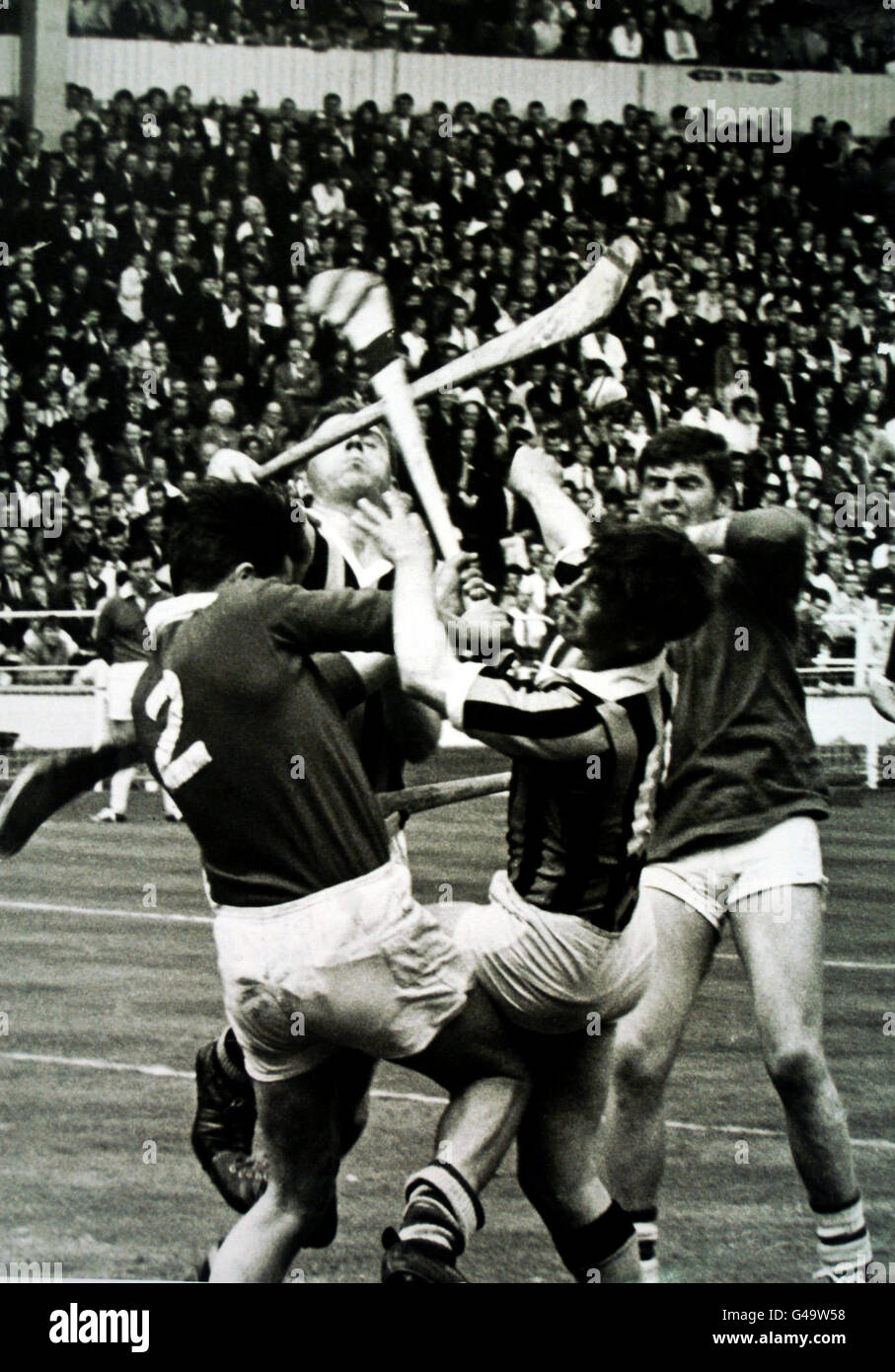 champion sports kilkenny phone number