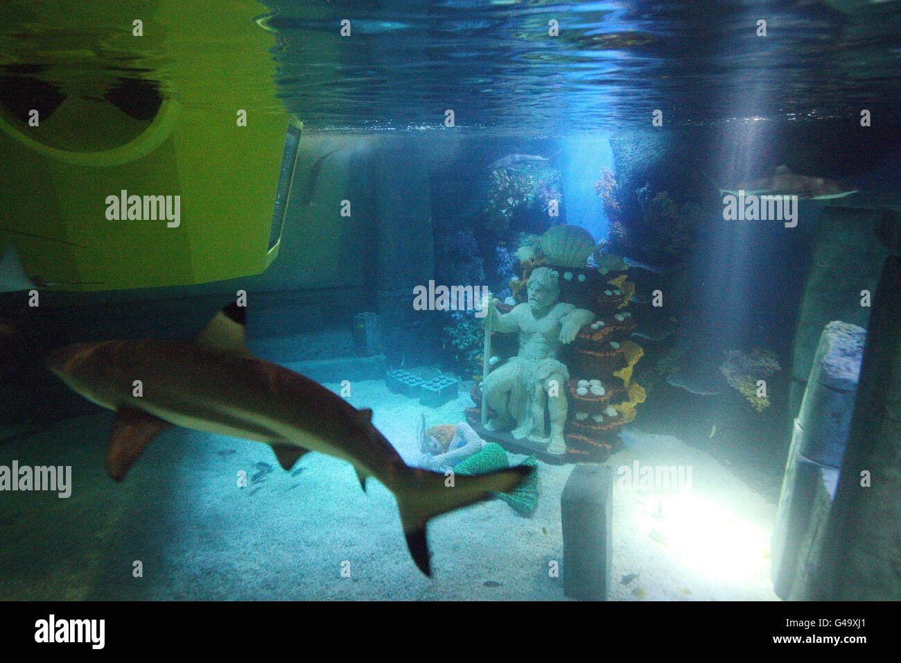 Legoland shark feeding 2025