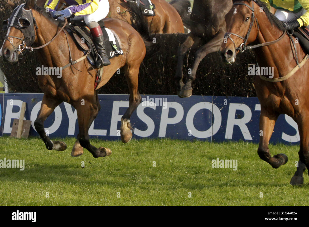 Com champion chase day punchestown racecourse hires stock photography