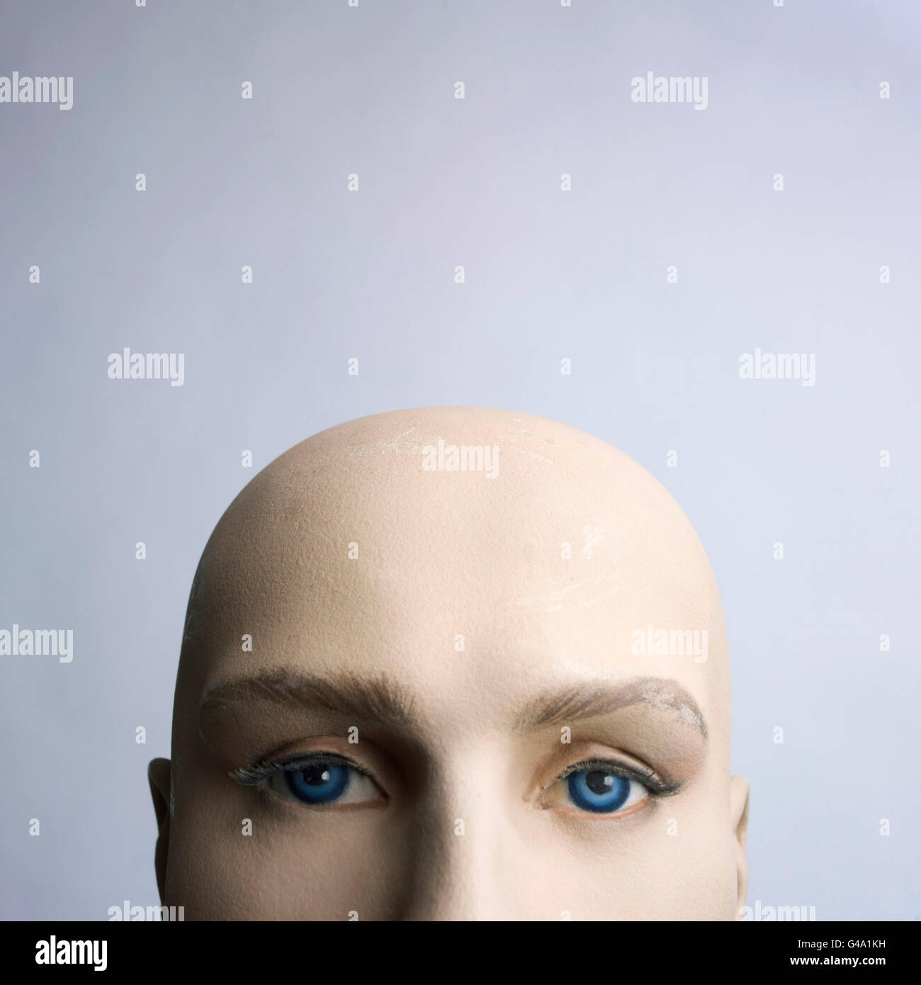 Plastic Female Realistic Face Mannequin Head -  Israel