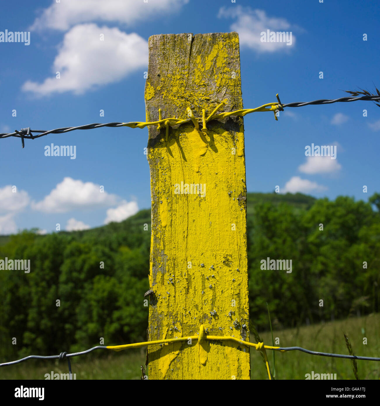 Yellow fence post Stock Photo Alamy