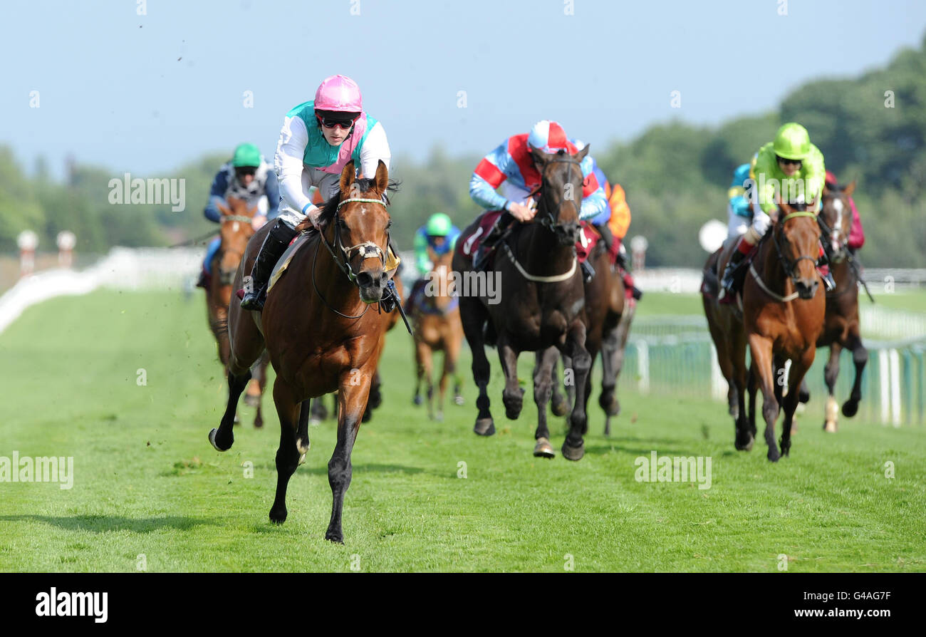 Horse Racing British Red Cross Raceday Haydock Park Racecourse