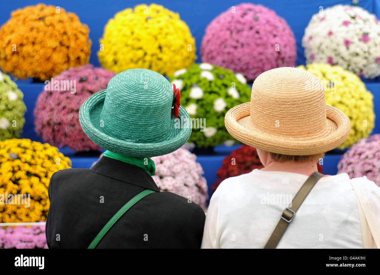 Visitors view a floral display at the Chelsea Flower Show. Stock Photo