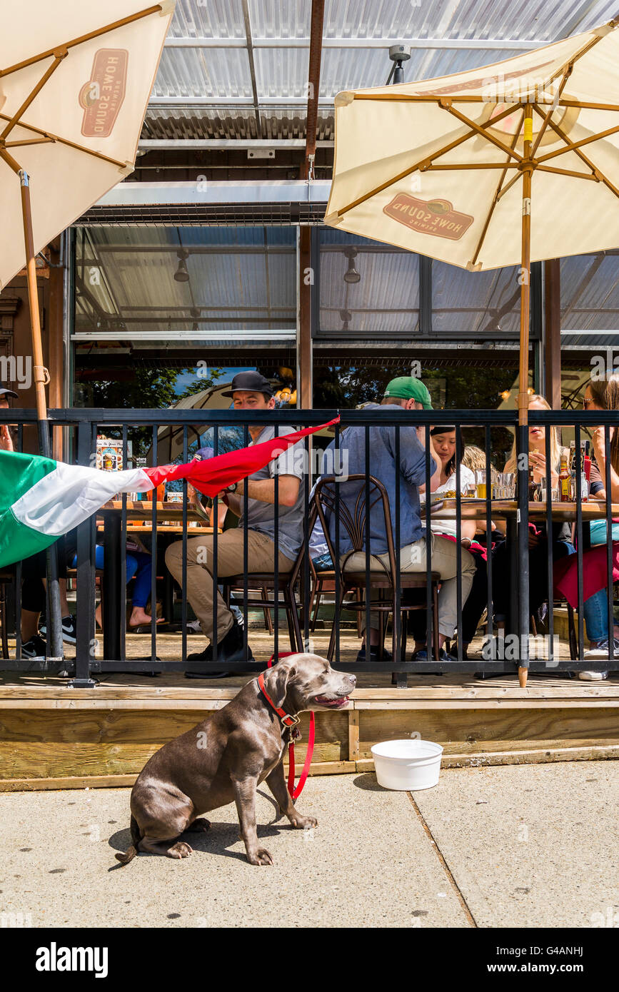 Dog tied to restaurant patio fence british columbia canada vancouver hi