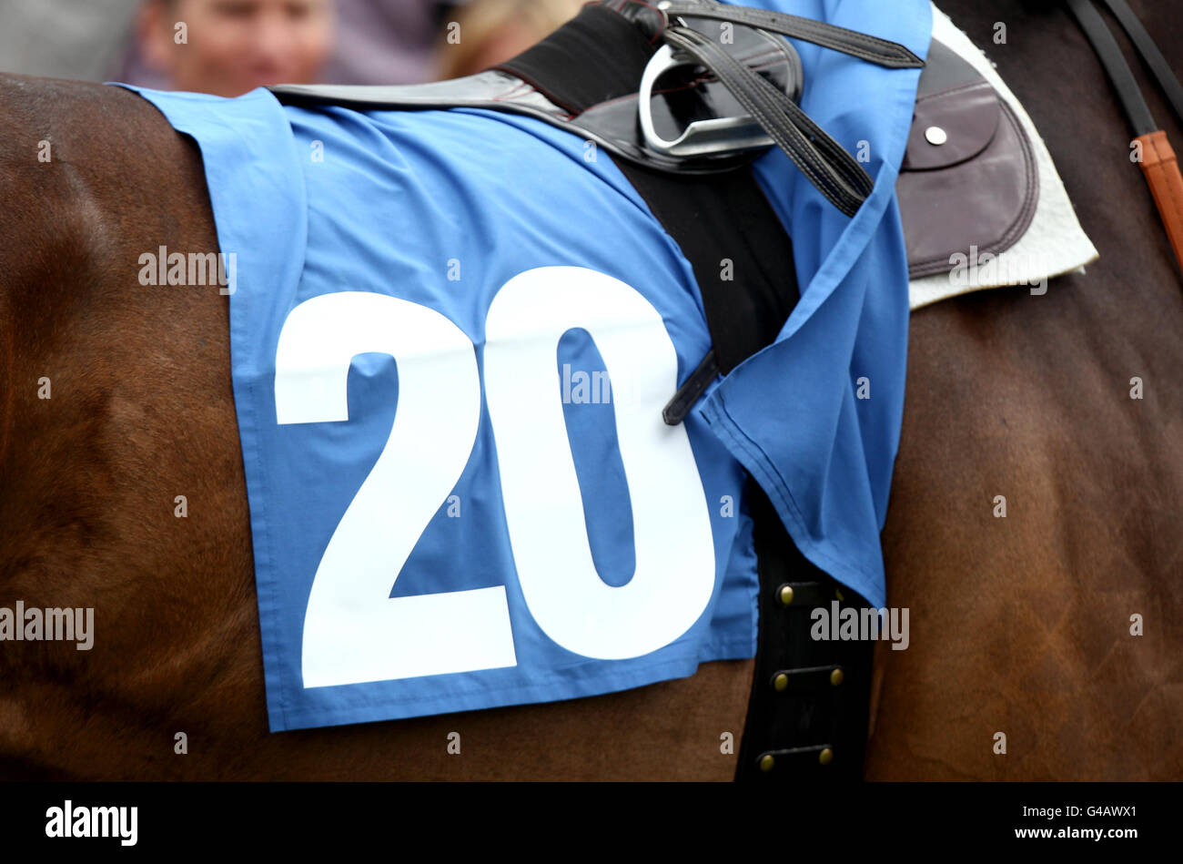 Horse Racing - 2011 Dante Festival - Tattersalls Musidora Stakes Day - York Racecourse. General view of a number 20 on a saddlecloth Stock Photo