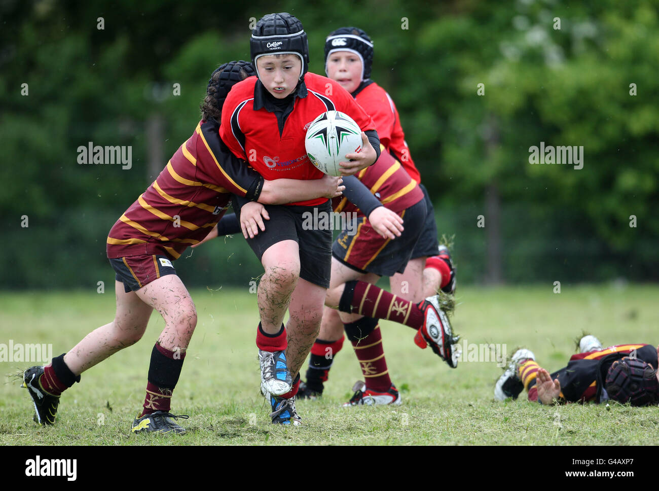 Kids enjoy playing rugby forrester mini tournament craigmount hs hi-res ...