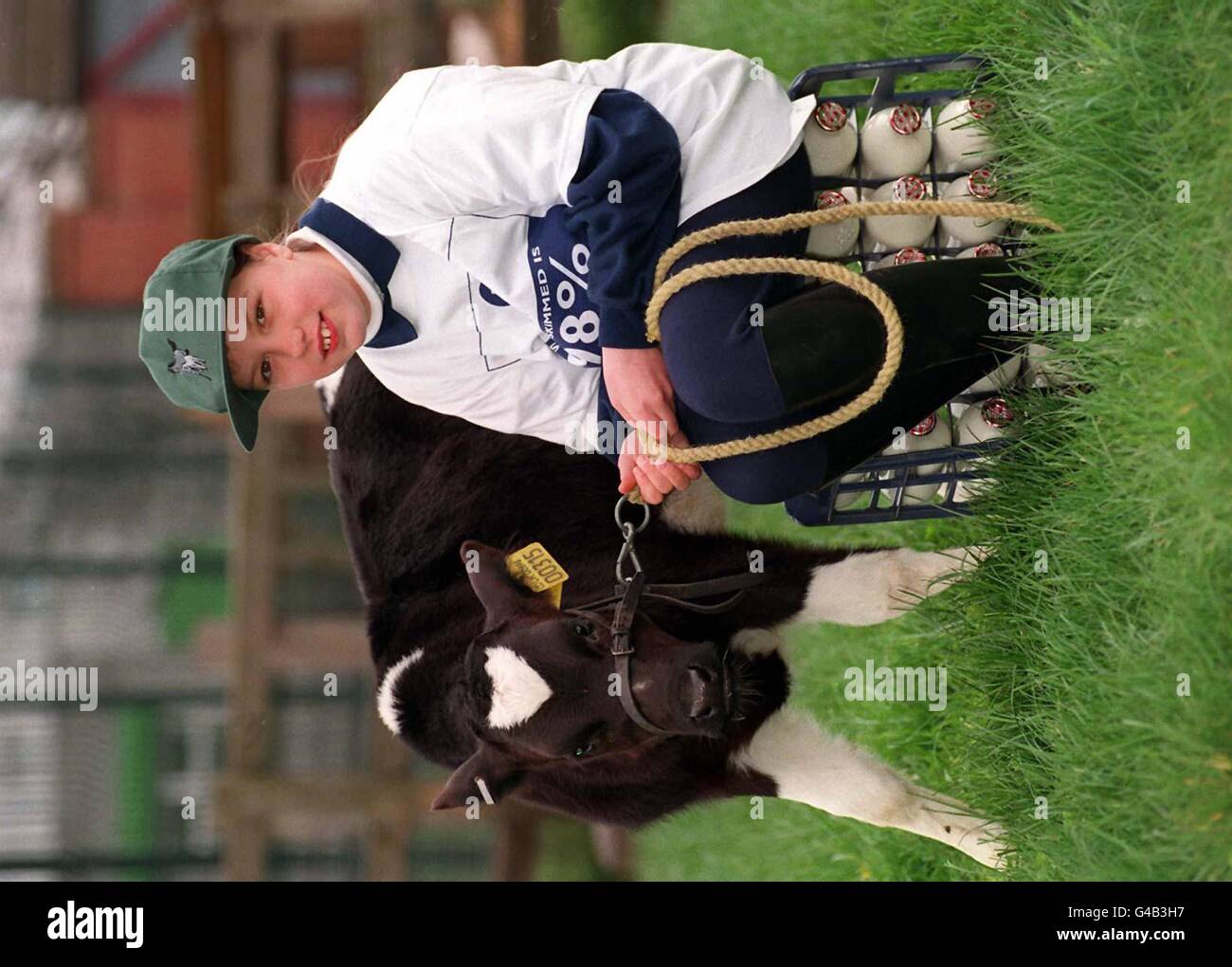 Linzie Marie Maycock from Kettering who won a friesian calf, named Braken, in an Express Daries competition, gets to know her prize at Stonebridge City Farm Nottingham. Watch for PA Story. PA Photos. Stock Photo