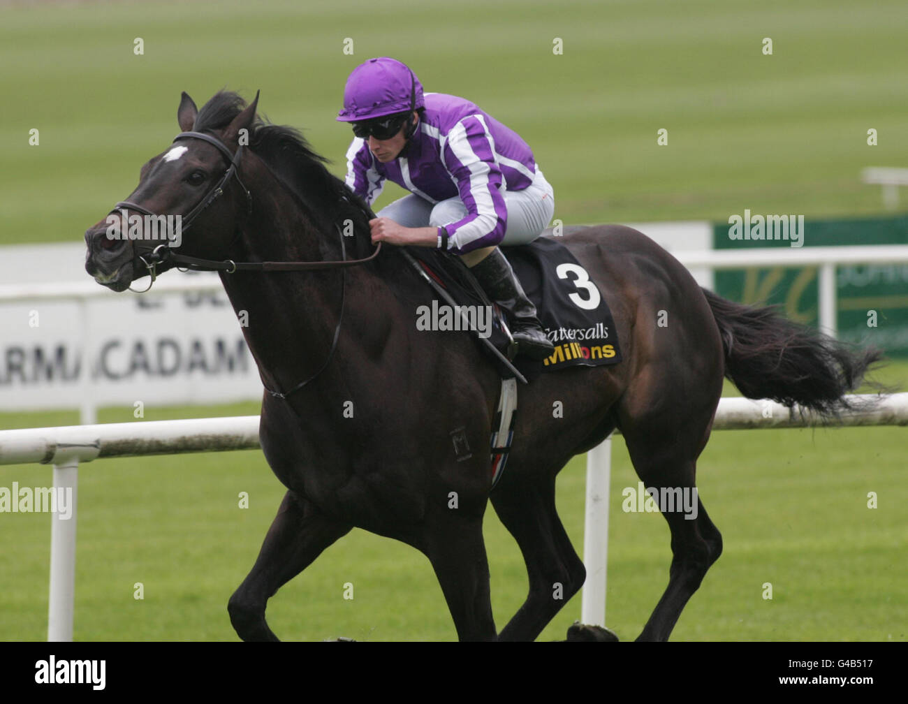 Horse racing abu dhabi 1000 guineas day curragh racecourse hires stock