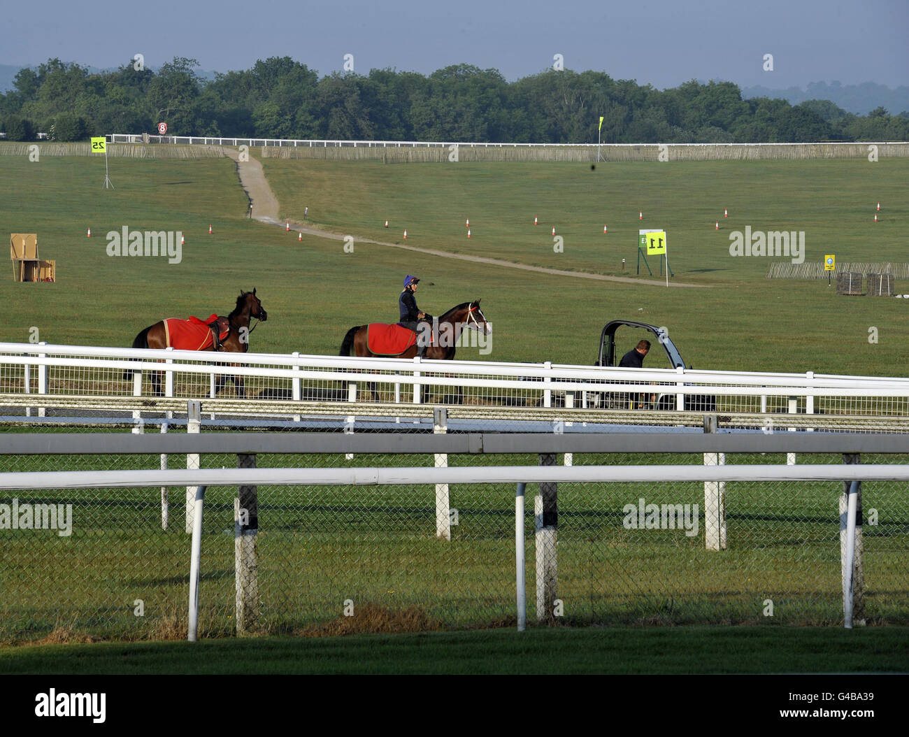 Horses exercise on the gallops at epsom downs racecourse hires stock