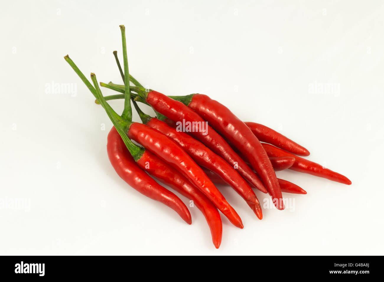 chili pepper isolated on a white background Stock Photo