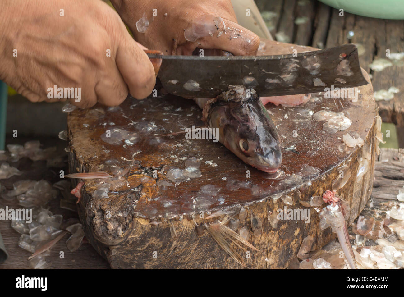 close-up of a worker cutting fish on a board Stock Photo