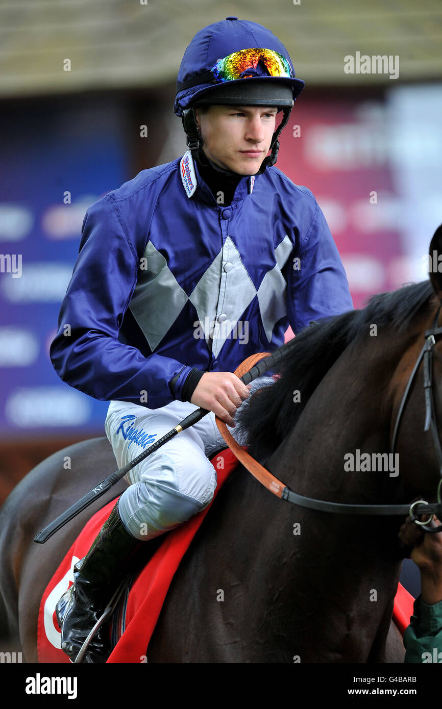 Jockey Richard Kingscote prior to his ride on Brown Panther in the