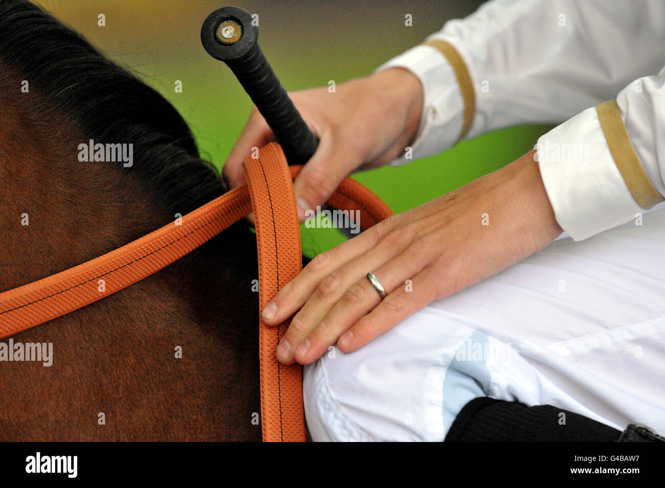 Holding reins horse hires stock photography and images Alamy