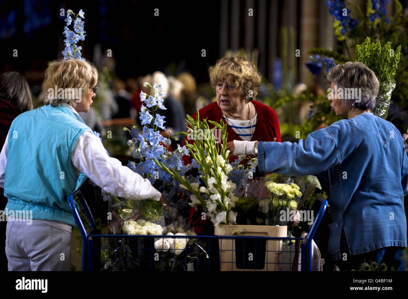 Flower arrangers pick flowers for their floral displays at Salisbury Cathedral as they create its spectacular Flower Festival which opens to the public on Tuesday 14. Around 500 volunteers will bring to life a creative vision, by Chelsea Gold Medalist (2009) Michael Bowyer, assisted by Pam Lewis and Angela Turner, arranging 29,345 stems of flowers, which encompasses the whole interior of the Cathedral. Stock Photo
