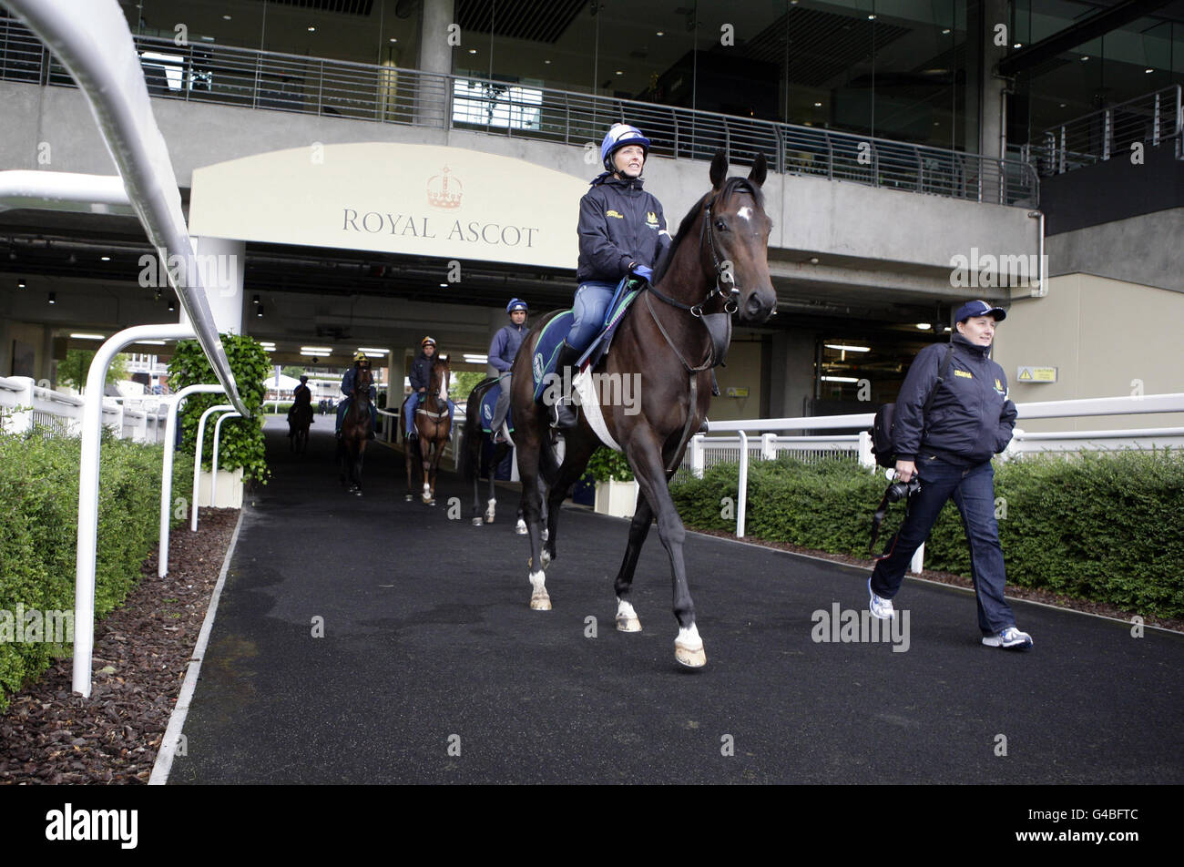 Racehorse Dordogne from Mark Johnson's yard heads out for the morning gallops on day four of the Royal Ascot Meeting at Ascot Racecourse, Berkshire. Stock Photo