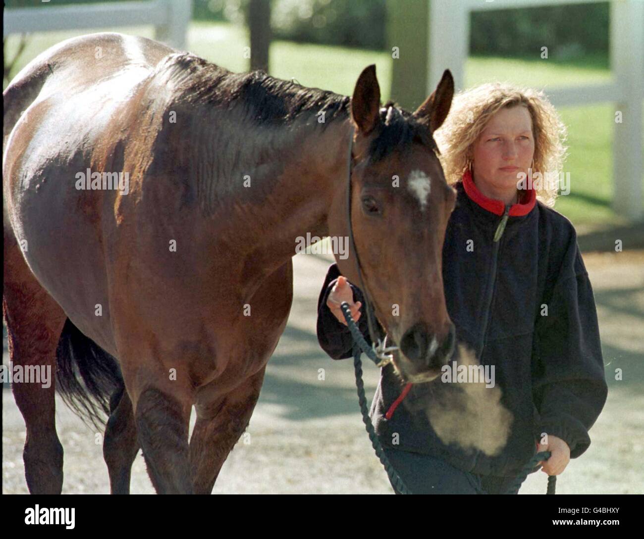 Nosam hi-res stock photography and images - Alamy