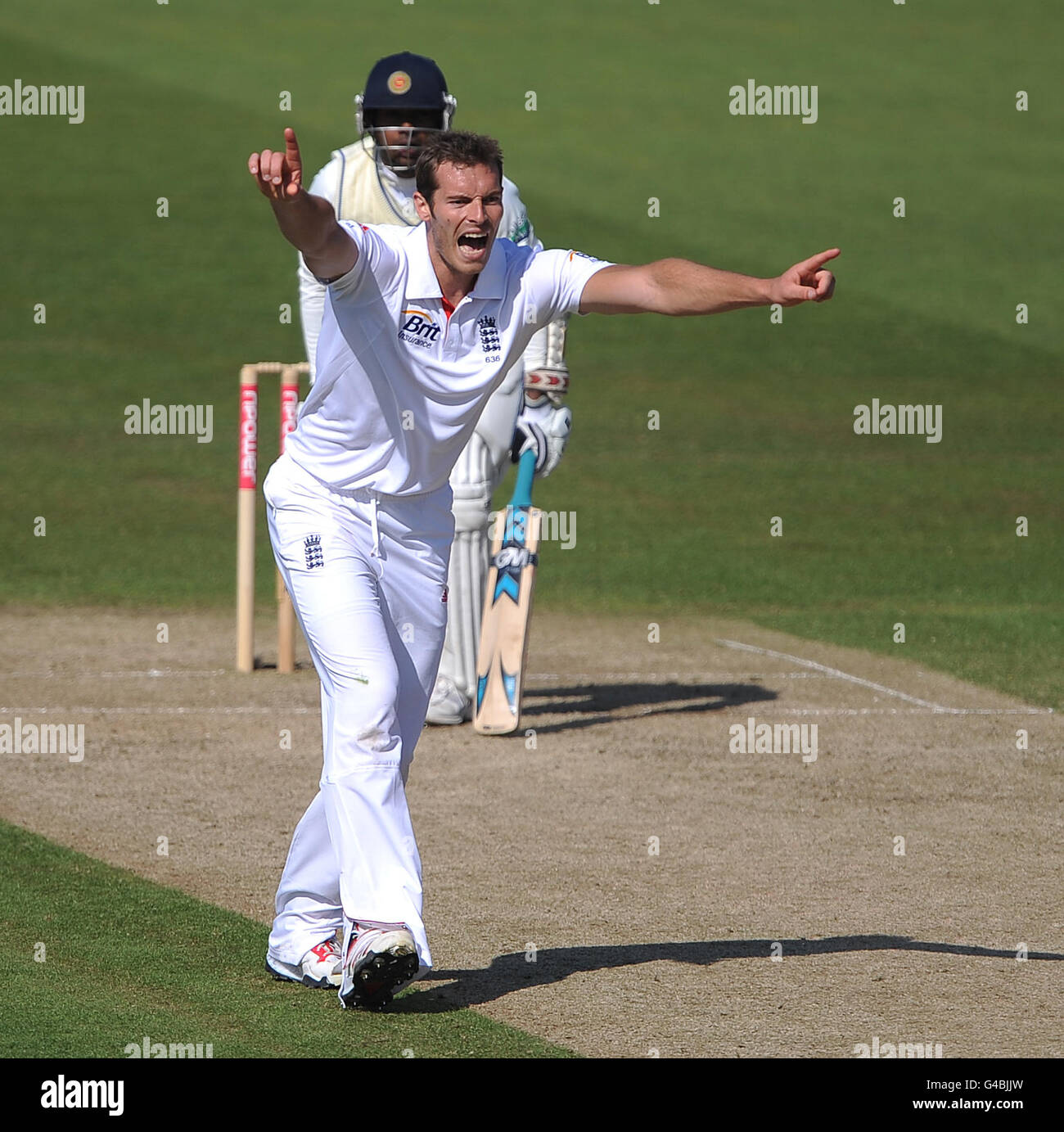 Cricket - npower First Test - Day Two - England v Sri Lanka - SWALEC Stadium. England's Chris Tremlett appeals to the umpires. Stock Photo
