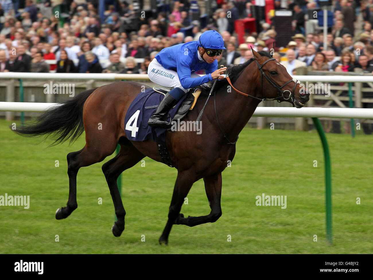 Horse racing festival of food and drink newmarket racecourse hi-res ...