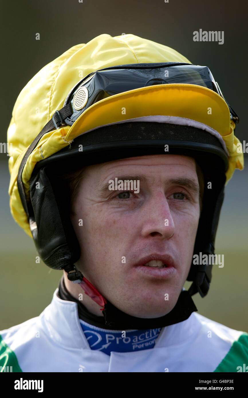 Horse Racing Haydock Park Racecourse Stock Photo Alamy